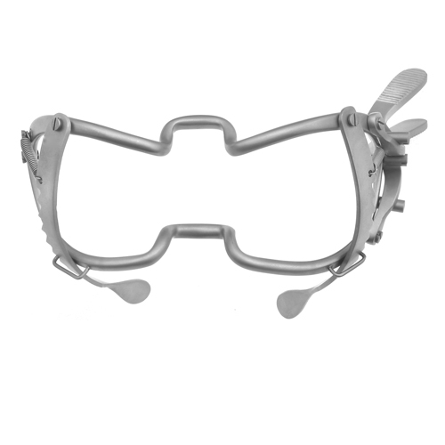 WAStehead Mouth Gag